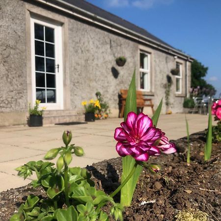 Ballyconnelly Cottages, Galgorm Area Cullybackey Exterior foto