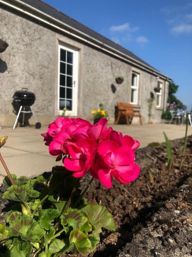 Ballyconnelly Cottages, Galgorm Area Cullybackey Exterior foto